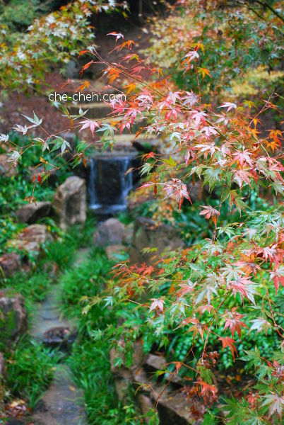 Autumn Paradise @ Fushimi Inari Taisha, Kyoto